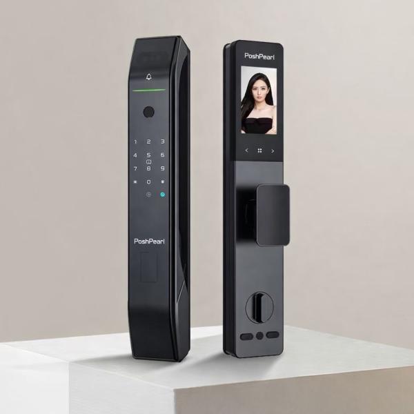 D2PRO SMART LOCK