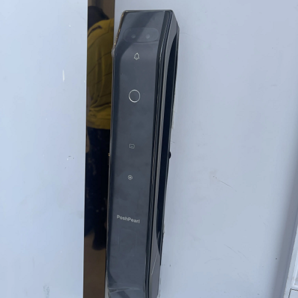 D2PRO SMART LOCK